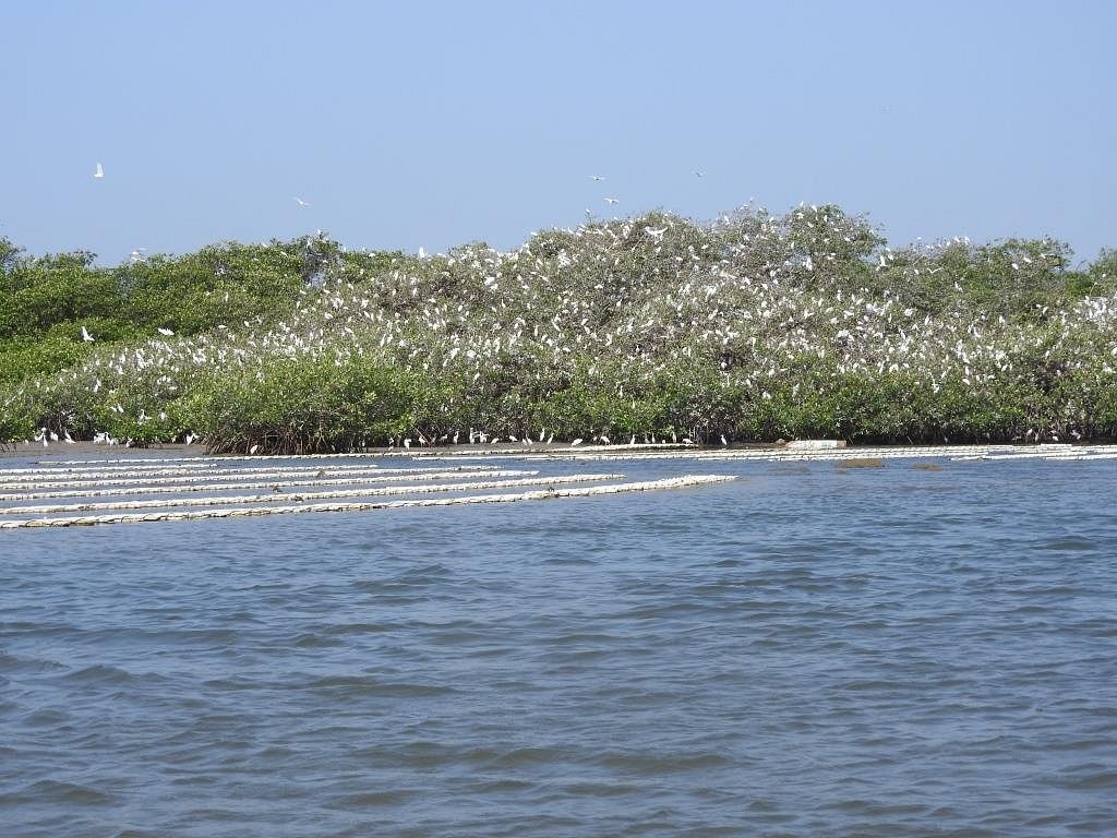 La Lagune de Somone