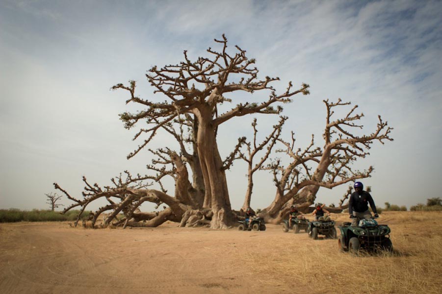 Balade en Quad et Aventures en Nature