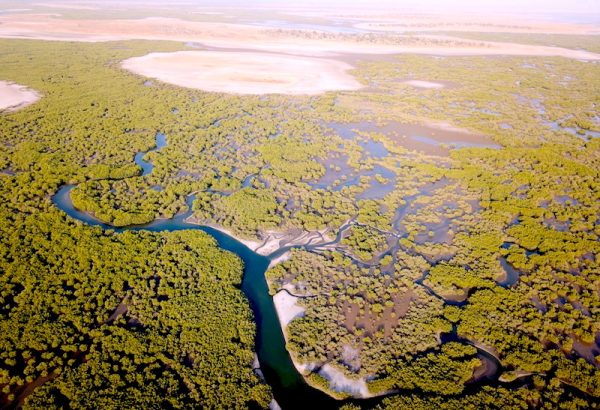 Excursion dans le Sine Saloum